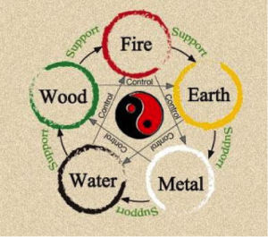 Five Element Cycle