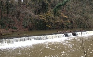 Snuff Mills Water