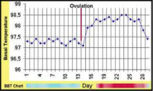 free online ovulation temperature chart