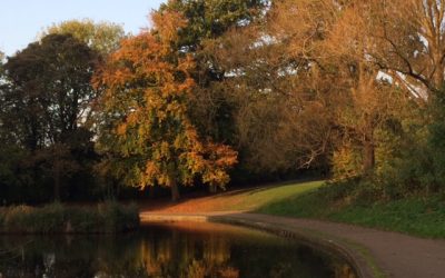 Autumn – The Season of the Metal Element by Julie Kelham