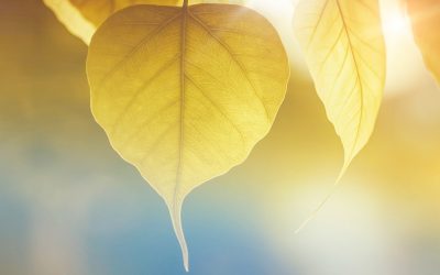 Acupuncture to reduce anxiety