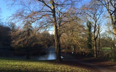 Winter – Season of the Water Element