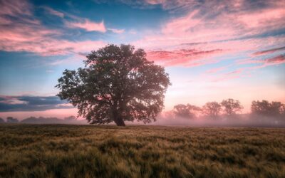 Stress Awareness Week 3rd – 7th November 2025