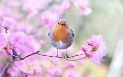 Revitalise Your Spring With a Healing Massage