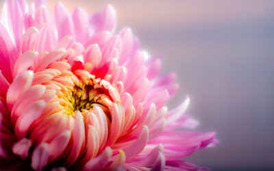 Improve Your Future With Psychodynamic Psychotherapy